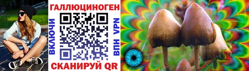 Псилоцибиновые грибы ЛСД  Купить где  Красный Холм 